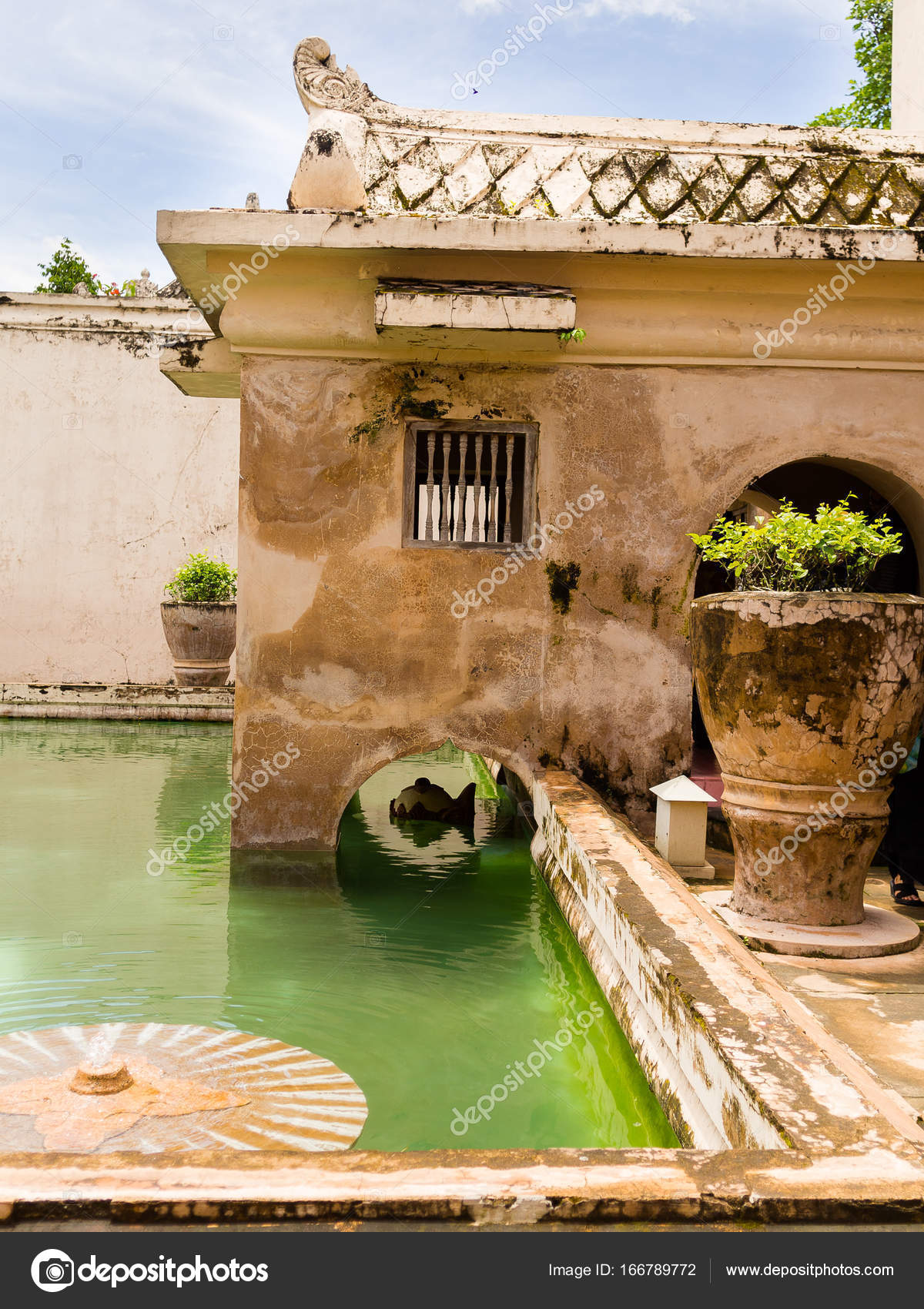 Close Up Of A Huge Flower Pot With A Plant Inside Of Taman