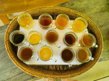 Kopi Luwak kahve ve çay, Endonezya, Bali Adası görünümü üzerinde test