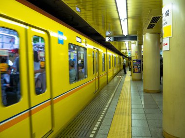 Tokyo, Japonya - 2 Ocak 2016: kimliği belirsiz kişiler Tokyo, Japonya'da Yamanote tren almak için bekleyen. Japonya demiryolu sistemi dakiklik ve güvenliği için yüksek bir üne sahiptir