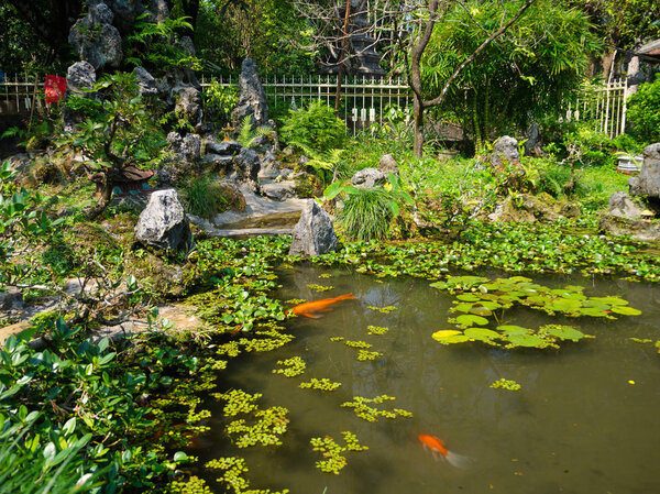 Close up of a artificial pond in the patio with koi fish swiming, in the city of Hue, in Vietnam