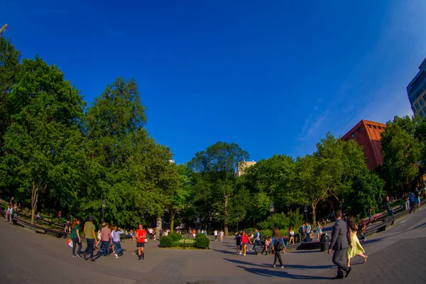 NEW YORK - 22 JUILLET 2017 : Des personnes non identifiées profitent de la journée d'été dans le Washington Square Park à New York, effet oeil de poisson — Photo