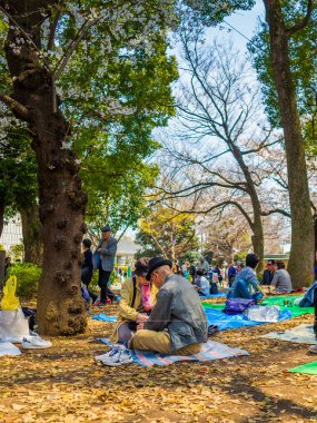 Tokyo, Japonya - 24 Ağustos 2017: Kiraz çiçekleri Festivali Ueno Park zevk insanlar kalabalık