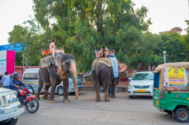 Jaipur, Hindistan - 20 Eylül 2017: tanımlanamayan kişini büyük bir fil ile Jaipur, Rajasthan, Hindistan renklerde dekore edilmiş