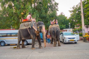 Jaipur, Hindistan - 20 Eylül 2017: tanımlanamayan kişini büyük bir fil ile Jaipur, Rajasthan, Hindistan renklerde dekore edilmiş