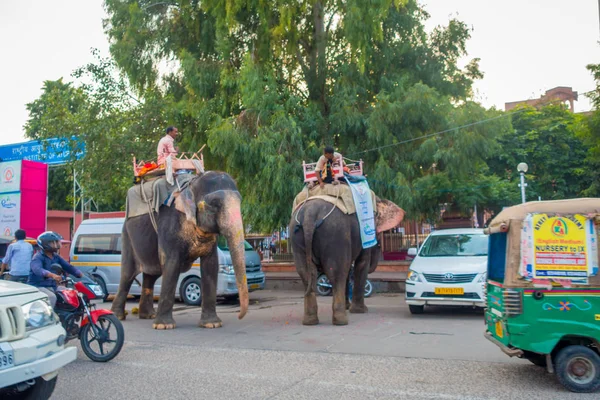 Jaipur, Hindistan - 20 Eylül 2017: tanımlanamayan kişini büyük bir fil ile Jaipur, Rajasthan, Hindistan renklerde dekore edilmiş