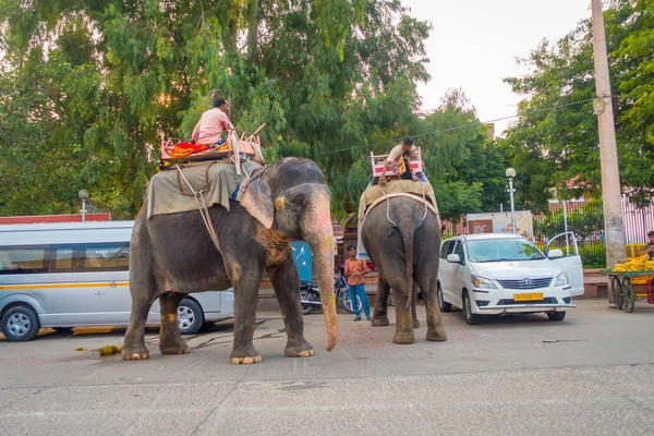 Jaipur, Hindistan - 20 Eylül 2017: tanımlanamayan kişini büyük bir fil ile Jaipur, Rajasthan, Hindistan renklerde dekore edilmiş
