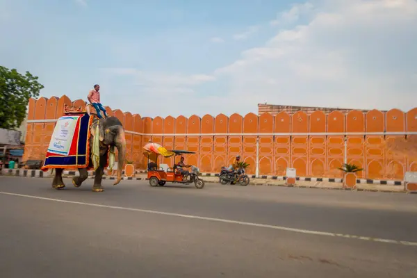 Jaipur, Índia - 20 de setembro de 2017: Homem não identificado montando um elefante enorme decorado com cores em Jaipur, Rajastão, Índia — Fotografia de Stock