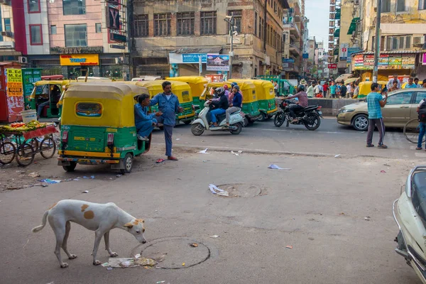 델리, 인도-9 월 25 2017: 녹색 인력거와 자동 rickshaws 정체 불명된 사람들에서 걷고 그들의 백색 개로 Paharganj 델리에 더러운 거리에 주차. 델리는에 — 스톡 사진