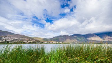 Güzel Yahuarcocha, göle dağ Ekvator ile güzel bir bulutlu gün ile tipik bazı bitkilerde güzel görünümü