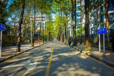 Shenzen, Çin - 29 Ocak, 2017: büyüleyici şehir sokak her iki tarafta uzun yeşil ağaçlar ile bazı yapılar aracılığıyla görünür yapraklar, birkaç kişi yürüme, az trafik