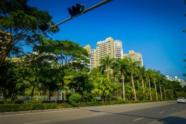 Shenzen, Çin - 29 Ocak, 2017: şehir sokakları ve sorroundings, yeşil ağaçlar kombine binalar, modern mimari, trafik ışık, güzel mix tamamen gökyüzü mavi