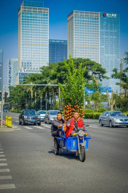 Shenzen, Çin - 29 Ocak, 2017: Nan Shan mahalle, şehir sokakları ve sorroundings, yeşil ağaçlar binalarla, modern mimari, kombine güzel mix ışık trafik, tamamen mavi