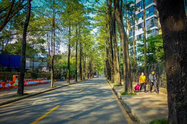SHENZEN, CHINE - 29 JANVIER 2017 : Charmante rue de la ville avec de grands arbres verts des deux côtés, quelques bâtiments visibles à travers les feuilles, peu de gens marchant, peu de circulation — Photo