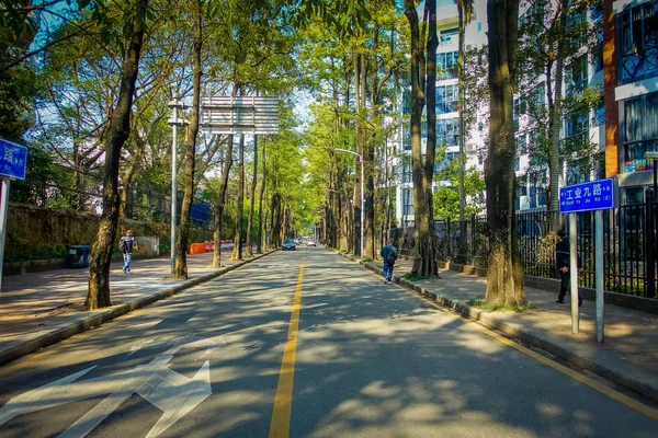 中国深圳-2017 年 1 月 29 日： 迷人的城市街道两边都高大的绿树，可见通过一些建筑物叶子，几人走，小交通 — 图库照片