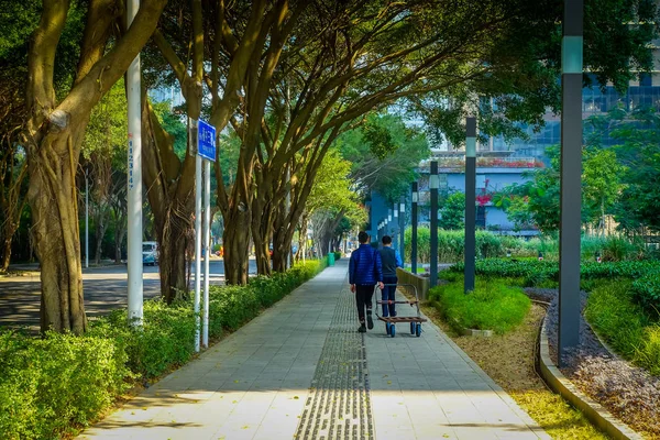 中国深圳-2017 年 1 月 29 日： 市内街道和面临，作为人们走的行人道路绿树的美丽组合 — 图库照片