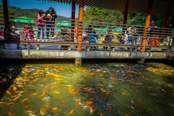 Shenzen, Китай - 29 січня, 2017: всередині Lian Хуа Шань парк, велику зону відпочинку, багато помаранчевий і темного кольору риб зібрати разом з туристів, спостерігаючи — стокове фото