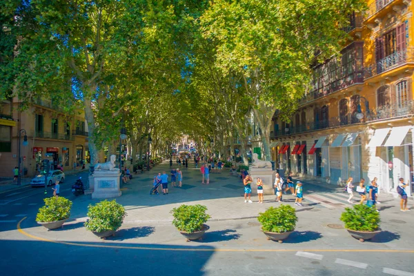 パルマ ・ デ ・ マリョルカ、スペイン、ヨーロッパで生まれた大通りを歩いて正体不明の人々 のパルマ ・ デ ・ マリョルカ、スペイン - 2017 年 8 月 18 日: 平面図 — ストック写真