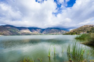Güzel Yahuarcocha, göle dağ Ekvator ile güzel bir bulutlu gün ile tipik bazı bitkilerde güzel görünümü