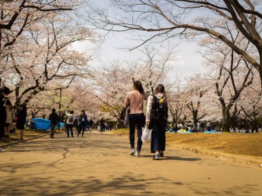 Hakone, Japonya - 02 Temmuz 2017: Kimliği belirsiz iki yürüyor ve hanami Park kiraz çiçeği sezonunda Kyoto'da manzarayı