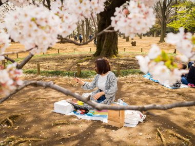 Hakone, Japonya - 02 Temmuz 2017: bir parkta oturan ve bir selfie hanami parkta kiraz çiçeği sezonunda Kyoto'da alarak kimliği belirsiz bir kadın