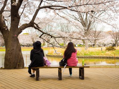 Hakone, Japonya - 02 Temmuz 2017: genel bir sandalyede oturuyor ve hanami Park kiraz çiçeği sezonunda Kyoto'da manzarayı tanımlanamayan kişi
