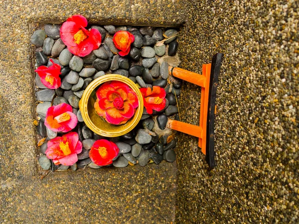 Närbild av en uppsättning cattleya orkidé röda blommor och sten som oblation över en stenad marken i Japan — Stockfoto