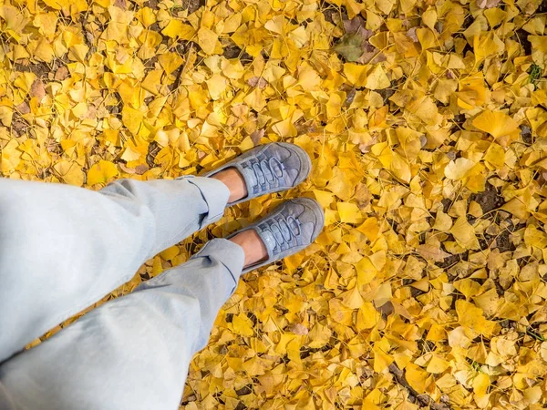 Primo piano di una foto del piede con belle foglie gialle autunnali, paesaggio autunnale, fogliame colorato nel parco autunnale di Kyoto — Foto Stock