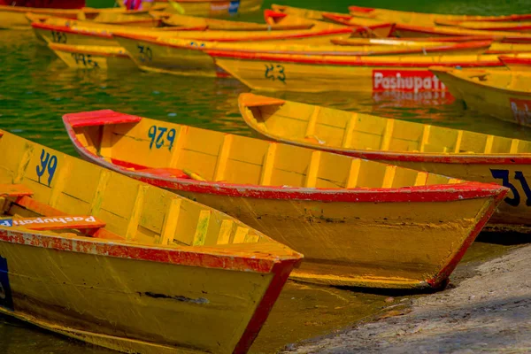 Pokhara, nepal - 04. November 2017: nahaufnahme von hölzernen gelben booten hintereinander am begnas see in pokhara, nepal — Stockfoto