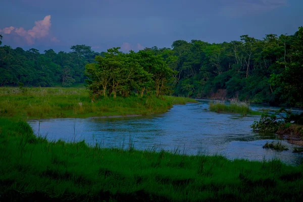 Özellikle orman tarafından örtülü bir nehir, güzel manzaralı Chitwan Milli Parkı — Stok fotoğraf