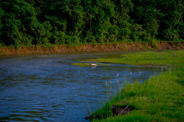 Piękny widok z Chitwan National Park z rzeką, głównie objęte dżungli — Zdjęcie stockowe