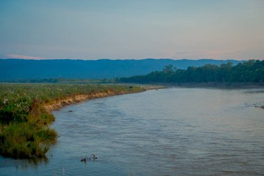 Özellikle orman tarafından örtülü bir nehir, güzel manzaralı Chitwan Milli Parkı
