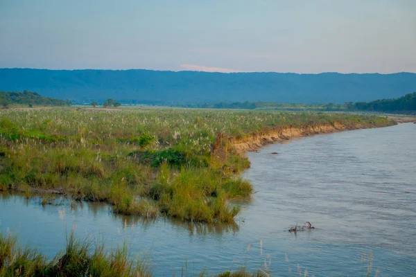 Piękny widok z Chitwan National Park z rzeką, głównie objęte dżungli — Zdjęcie stockowe