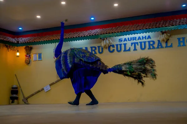 ПОХАРА, НЕПАЛЬНЫЙ ОКТЯБРЬ 10 ОКТЯБРЯ 2017 года: В Читван-Непале человек в костюме павлина и танцует для культурной программы под традиционную музыку — стоковое фото