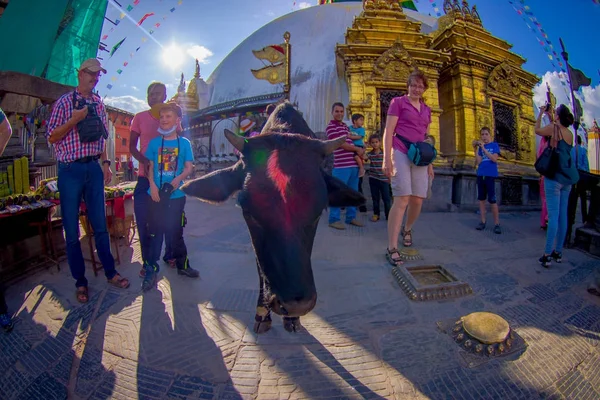 Káthmándú, Nepál 15 října 2017: Neznámých lidí, kteří jdou v blízkosti Ježkovy oči černé, s očima Buddhy na Bodhnath stúpa v Káthmándú, Nepálu, rybí oko efekt — Stock fotografie