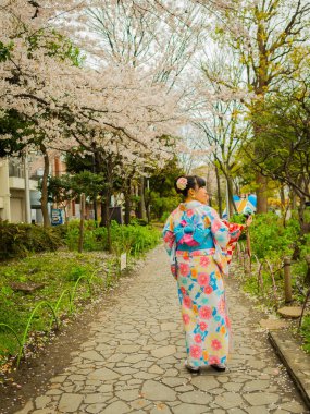 Hakone, Japonya - 02 Temmuz 2017: yürüyüş ve hanami parkta kiraz çiçeği sezonunda Kyoto'da zevk kimliği belirsiz bir kadın