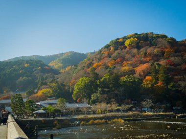 Hakone, Japonya - 02 Temmuz 2017: üzerinde bir köprü yürüyüş ve hanami parkta kiraz çiçeği sezonunda Kyoto'da zevk tanımlanamayan kişi