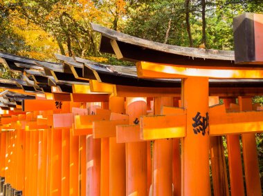 Kyoto, Japonya - 05 Temmuz 2017: Kırmızı Tori kapıda Fushimi Inari tapınak Kyoto, Japonya