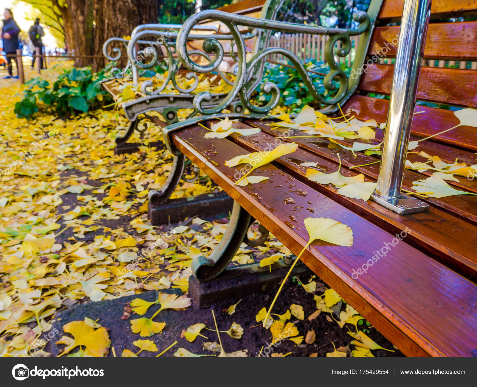 Nara Japan July 26 2017 Close Up Of Yellow Leafs In A