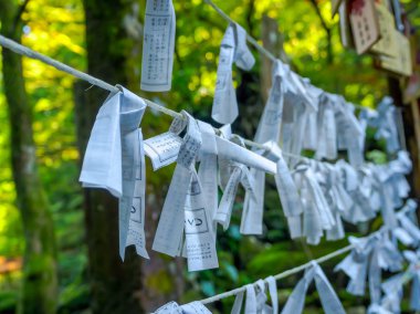 Nara, Japonya - 26 Temmuz 2017: Güzel ve küçük dua Todai Ji Tapınağı, küçük parçalar için dilek Tokyo Şinto müminler tarafından kullanılan kağıdın kağıt parçası