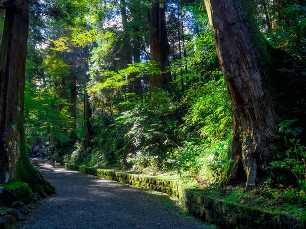 Nara, Japan - 26 juli 2017: Prachtig uitzicht van een bos op Todai-Ji tempel, in Tokio — Stockfoto