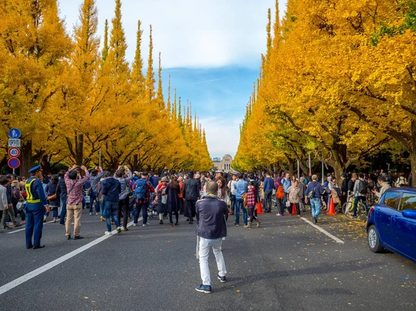 Nara, Japan - 26 juli 2017: Niet-geïdentificeerde mensen fotograferen en genieten van het Uitzicht van de prachtige herfst landschap, gele herfst bomen en bladeren, kleurrijke gebladerte in het park van de herfst in Kyoto — Stockfoto