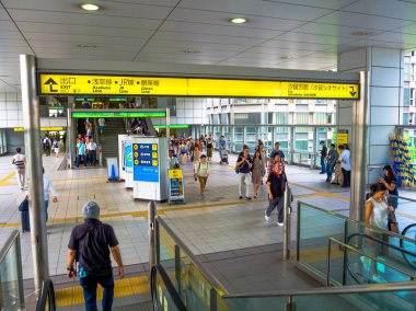 Tokyo, Japonya - 2 Ocak 2016. Kimliği belirsiz insanlar YAMANOTE içinde tren istasyonu, Tokyo, Japonya. Japonya demiryolu sistemi dakiklik ve güvenliği için yüksek bir üne sahiptir