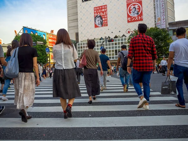 東京都 -28 6 月 2017: 秋葉の電気街、東京でシマウマを通りを渡る正体不明の人 — ストック写真