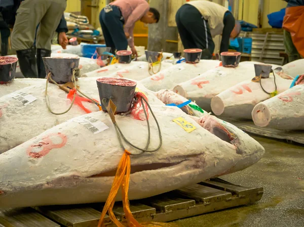 TOKYO- 4 DE JULIO: Atún fresco congelado de subasta en el Mercado Mayorista de Mariscos y Pescados de Tsukiji en Tokio, el Mercado de Tsukiji es el mercado mayorista de pescados y mariscos más grande del mundo — Foto de Stock