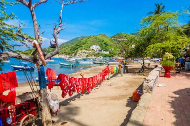 Santa Marta, Kolombiya - 10 Ekim 2017: Güzel açık manzarasına Okyanusya'ya Beach güneşin birçok lifesavers. Taganga, Colombia
