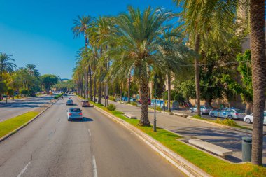 Palma De Mallorca, İspanya - 18 Ağustos 2017: Arabalar Palma de Mallorca, İspanya güzel bir mavi gökyüzünde bir yolda