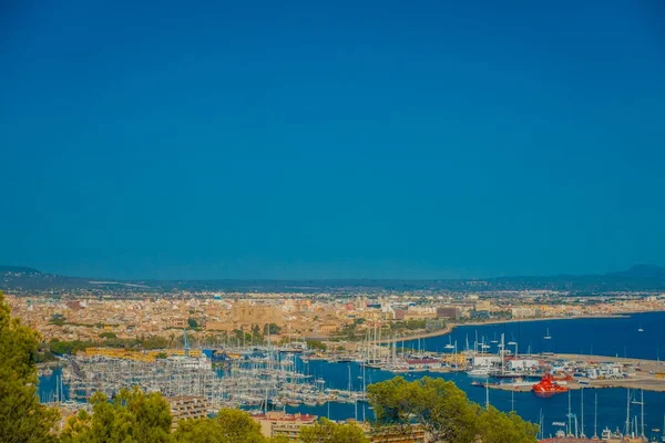 Palma De Mallorca, Spanien - augusti 18 2017: Panoramautsikt över staden Palma de Mallorca, i en blå solig dag i Palma de Mallorca, Spanien — Stockfoto