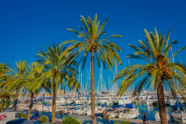 PALMA DE MALLORCA, ESPANHA - 18 DE AGOSTO DE 2017: Linda vista para o porto com iates brancos e algumas palmeiras, em Palma de Maiorca, Ilhas Baleares, Espanha — Fotografia de Stock