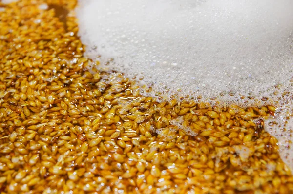 Close up de grãos de trigo dentro de uma chaleira moderna, vasos, em uma fábrica de cerveja em Quito — Fotografia de Stock