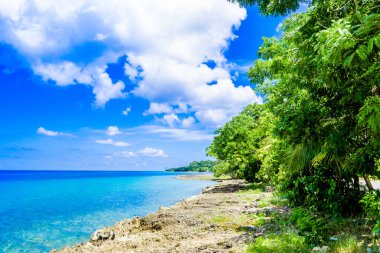 Güzel manzara plaj ve turkuaz su içinde plaj San Andres, Kolombiya